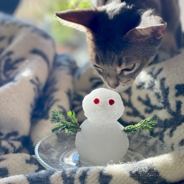 わか坊、初めての雪