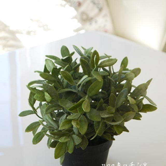 IKEAでお買い物*お馬さんとコラボ♪