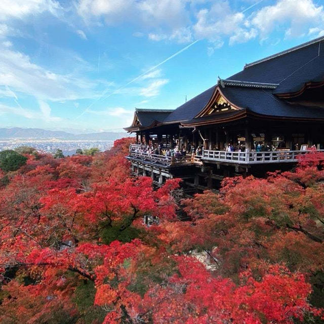 テキサスの紅葉　週末はハイキング