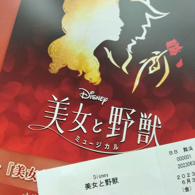 「美女と野獣」当日券サイドC席3300円の見え方！