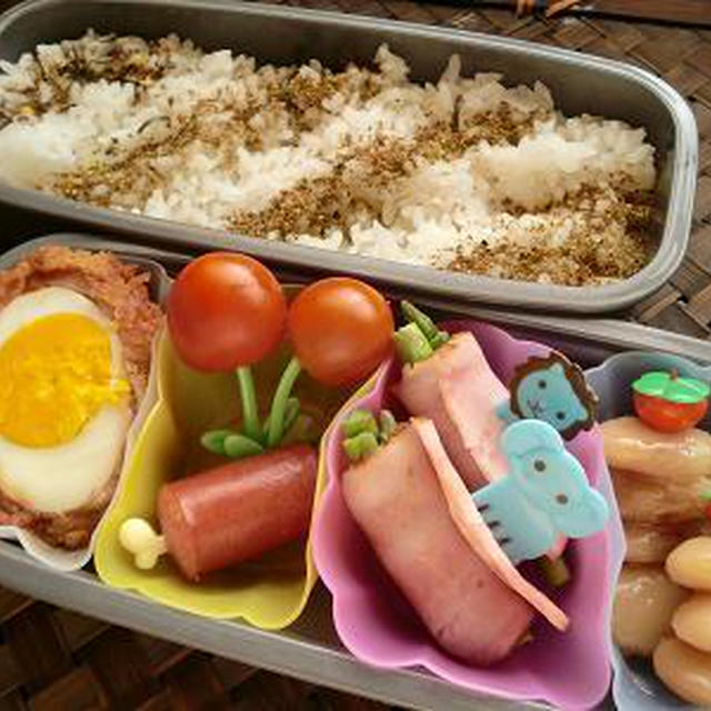 家庭菜園のアスパラでお弁当＆つくし採り