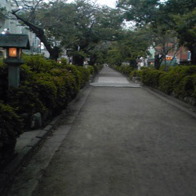 夕方６時半でも、これくらい。
