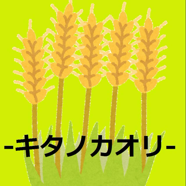 キタノカオリ（国産小麦粉）の特徴とは？食パンがおすすめ！