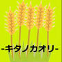 キタノカオリ（国産小麦粉）の特徴とは？食パンがおすすめ！
