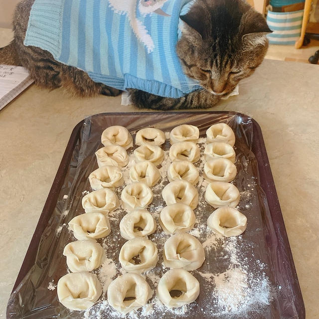 リーチ一発....ワンタンメン