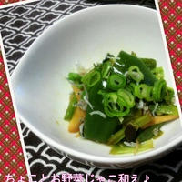 ちょこっとお野菜じゃこあえで日本酒を・・・♪楽しむ☆