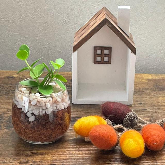 久しぶりに聞いた 『おかえり』