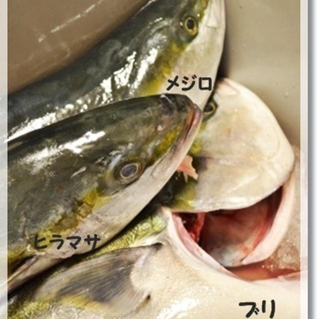 【九州】2013.05. 旦那様の釣果とダンナ飯