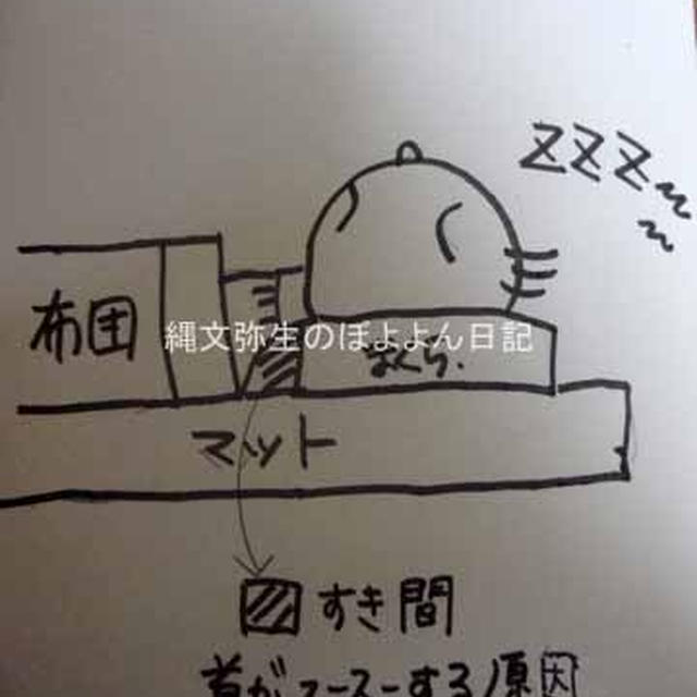 特殊構造の革新的な枕！東洋羽毛　コンフォートピュディー(R)
