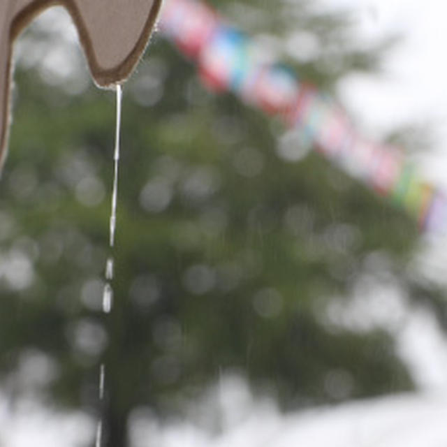 雨天決行