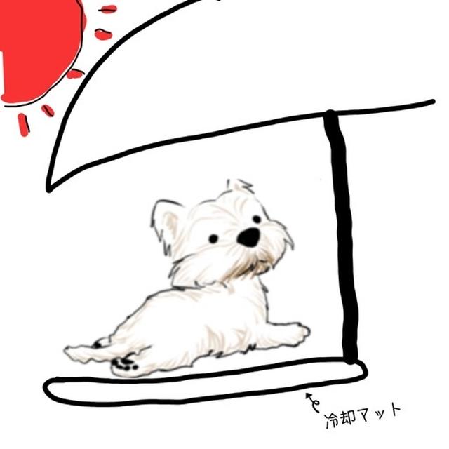【ウエスティ】ベランダ好きの白犬の為の暑さ対策を考える