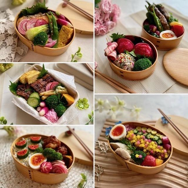 先週のお弁当のふり返り〜