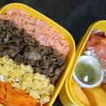 9月22日　　四色弁当＆サラダ