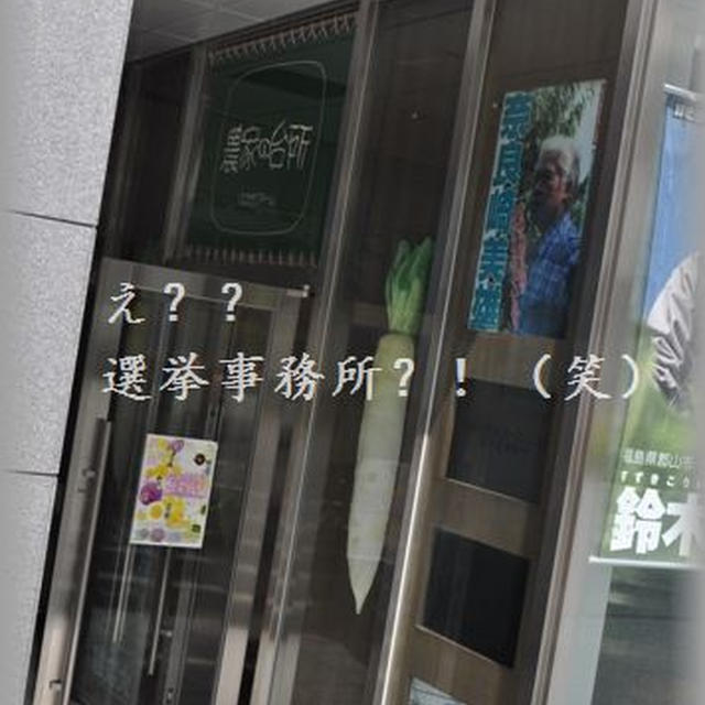 桜と一緒に東京上陸　２０１０年一時帰国　パート２