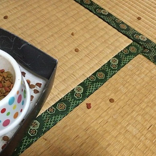 夏の風物詩にお勧めしたい一品＆ソース愛