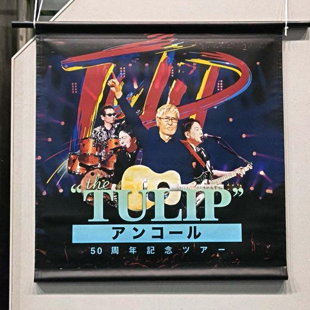 TULIP50周年記念ツアーthe Tulip - 国内アーティスト