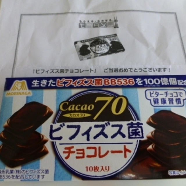 森永製菓　ビフィズス菌チョコレート