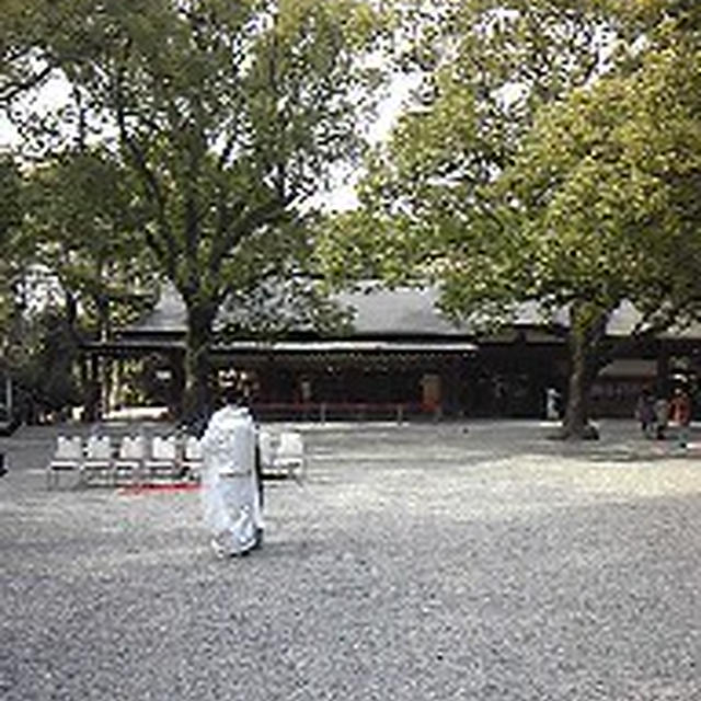 日曜日の散歩は熱田神宮へ