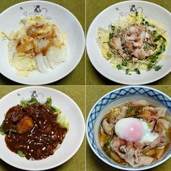 多分、初めてのレンチン白菜＆カレー、他：野菜食日記[2685]-[2688]