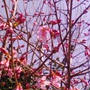 ☆春、み〜つけた！☆