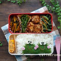 【娘のオベントウ】　カエルのお弁当　to　Tips of TEA プレゼントキャンペーン