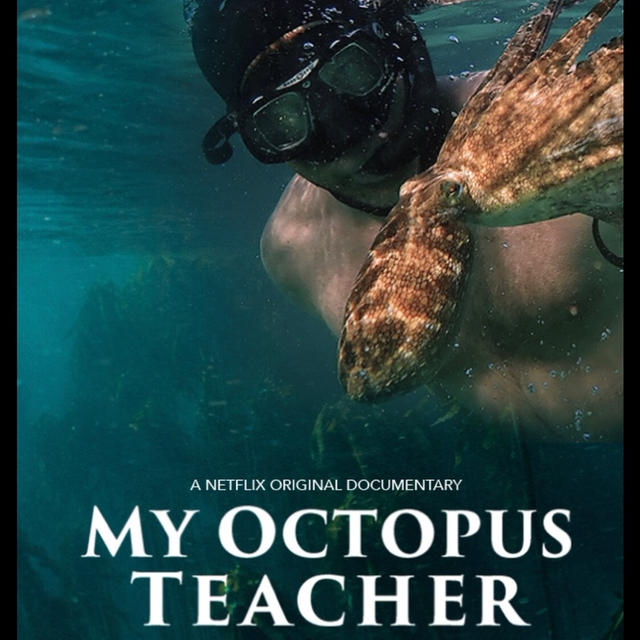 My Octpus Teacher ・Netflix