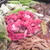 寒い夜だから～♪　　　NABE・・・＾＾：