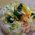 たっぷり冬野菜漬け