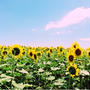 夏休み
