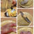 【＃ブログ】３月１５日の日記；傘を買いに【＃KURUMI】