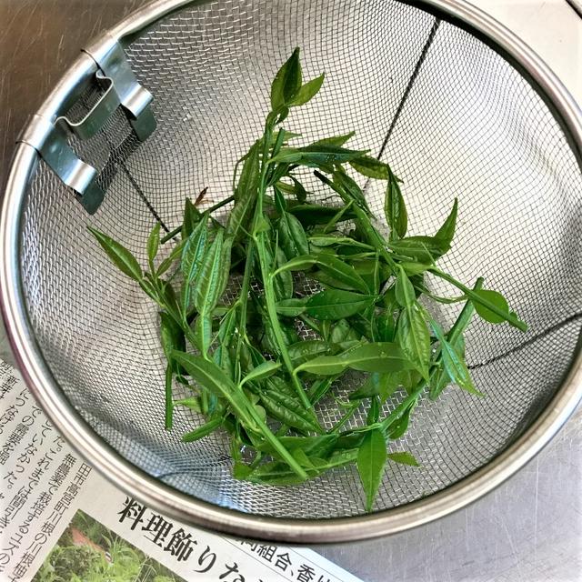 柚子の新芽の活用や最近の近況・・・・喜びを喜べる職場
