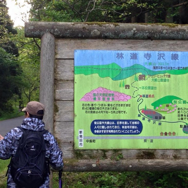 新緑の新発田市大峰山。＜ひき肉もやしのキムチ炒め＞