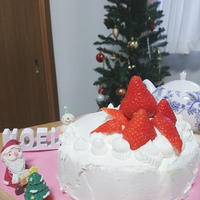 イチゴとカスタードのクリスマスケーキ