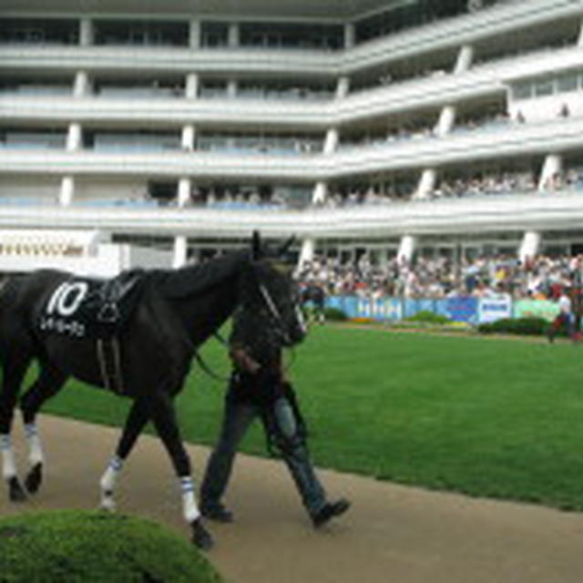 初競馬場だ♪　