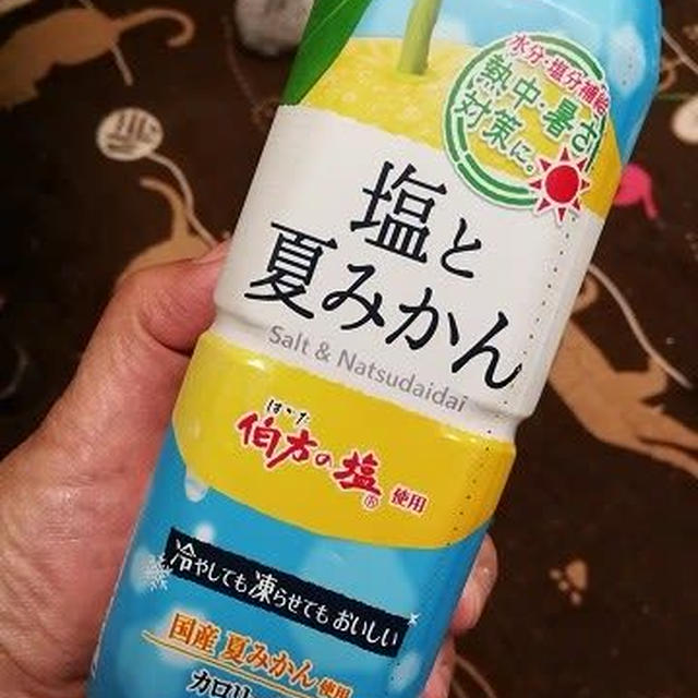 仕事が終わって一息！ POM「塩と夏みかん」