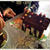 チョコHOUSE