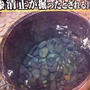 清正の井戸