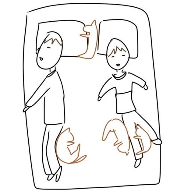 ひめちゃんの寝床