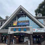 年長の娘と高尾山登山