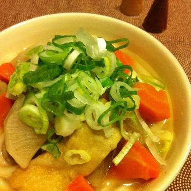 ゴロゴロ野菜煮込うどん