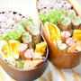 【毎日のお弁当】12/27～12/28