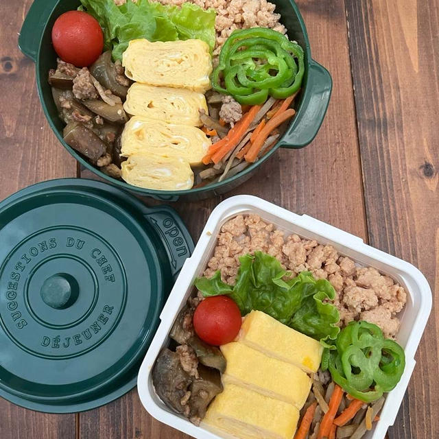 鶏そぼろ乗っけ丼弁当と　冷やし中華