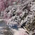 桜前線とハードトースト　４月２３日