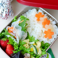 ４月９日　水曜日　たっぷり新玉の柚子胡椒風味マカロニサラダ＆生春巻き