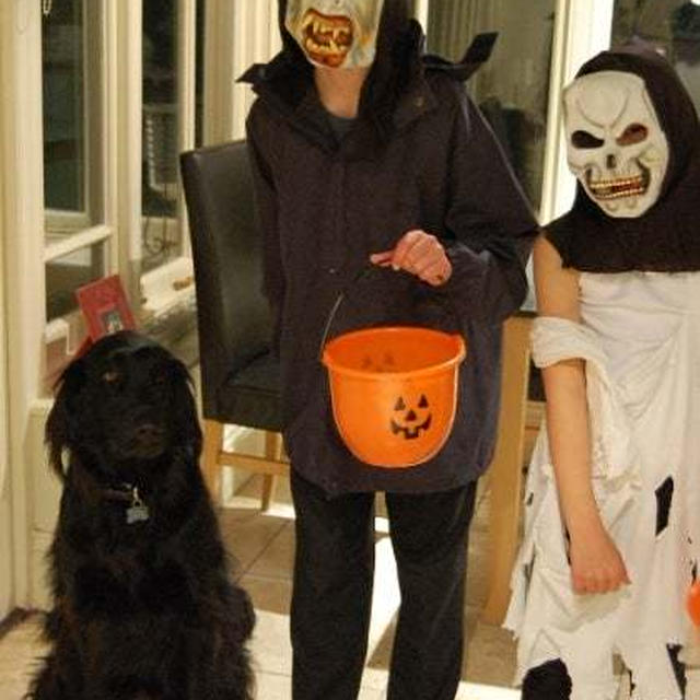 懐かしのハロウィン写真でふと立ち止まる〜何もしない日がくれた発見