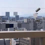 ベランダの鳩対策は絶対これ！！