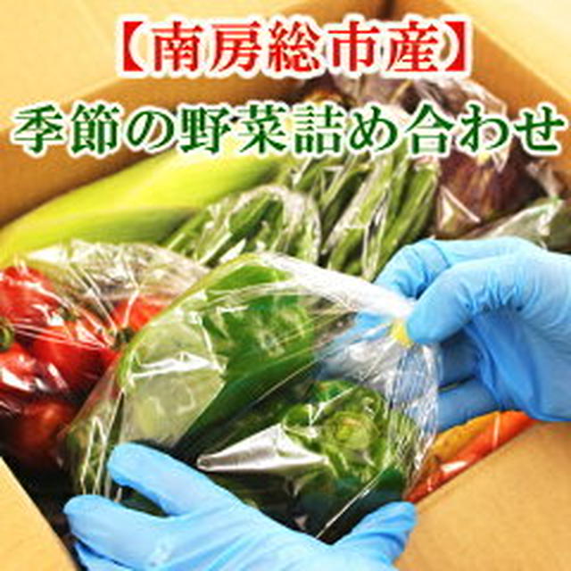 ポチ！季節の野菜 １２種類以上詰め合わせ3000円送料込み（ 南房総アンテナショップ）