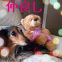 今日の1枚☆