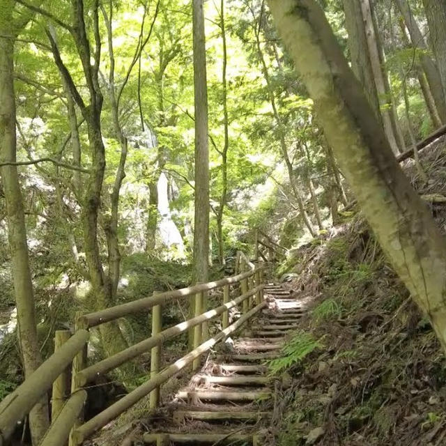 ごまさんスカイタワーを超えて橋本市へ。