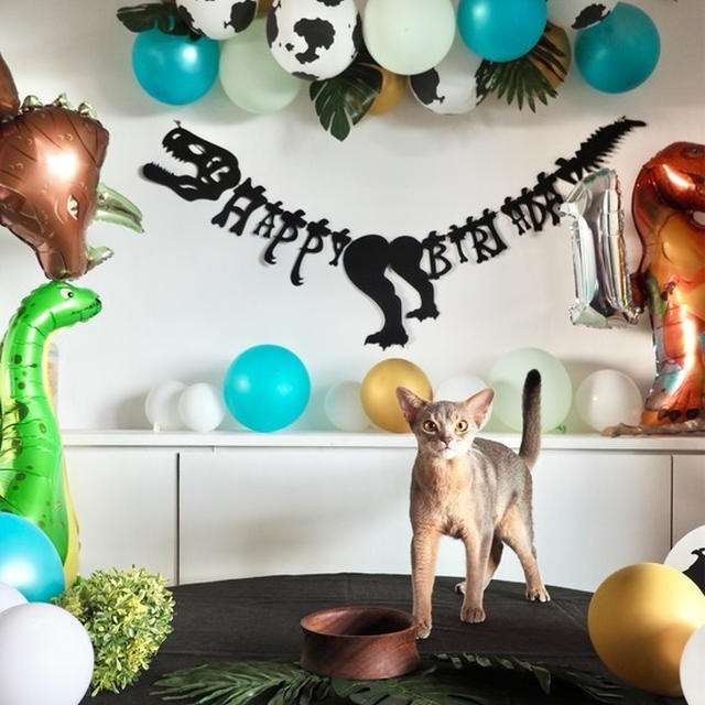 わか坊、恐竜王国でお誕生日会♪